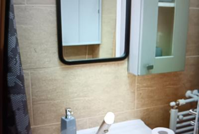 Garsoniera decomandata Chiajna / str Toamnei Mobilata Utilata - 8