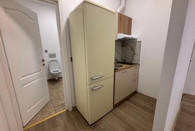 Inchiriere apt.2 camere Cismigiu - 11
