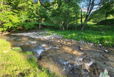 Teren Intravilan 12000 mp, Cascada Urlatoarea, proiect aprobat pentru Resort, la - 10
