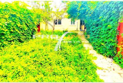 Faleza Nord - Universitate - Casa renovabila 100mp. cu teren 274mp. - 1