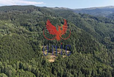 18000 mp de natura pura ,Lupeni, langa Straja - 20