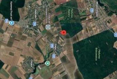 Teren de vanzare in Ilfov, Gagu, deschidere 74ml, 20762mp, 124.572euro - 1