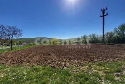 Teren intravilan de vânzare | 2942 mp | Ciurila, Cluj - 4