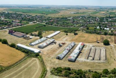 Centrul de afaceri Bihor - 1