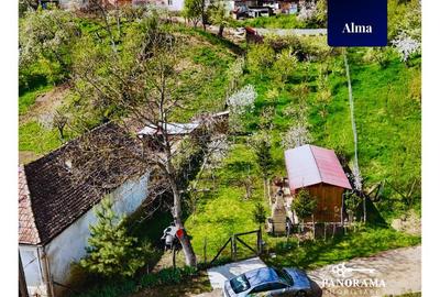 Teren Intravilan cu cabana  in satul transilvanean Alma - 3
