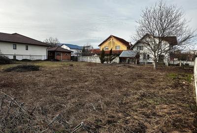 Teren Intravilan CETATE Lalelelor 450 mp. D=14 m. Toate Utilitatile in fata - 2