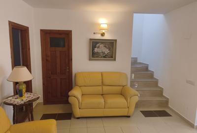 Vila Snagov, p+1,150mp, 3 dormitoare,aer conditionat,internet,cablu tv, piscina - 13