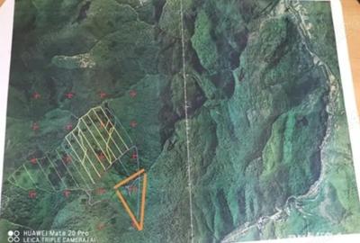Vând pădure Moneasa - 1