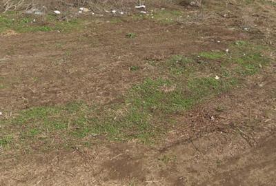 Berceni-Sector 4 , Bucuresti-Teren Intravilan - 7