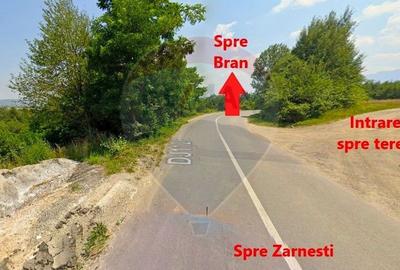 Teren Bran-Zarnesti - Tohanita, 4223mp - 3