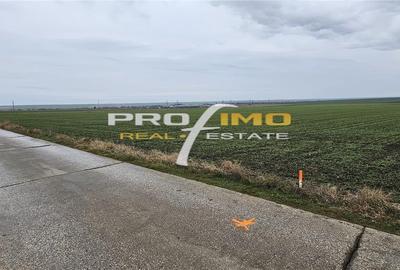 Plaja Corbu-Teren 4200mp. la numai 8 euro /mp. Soseaua asfaltata - 4