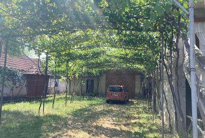 Vand casa 7 camere + anexe + teren 3515 mp - 3