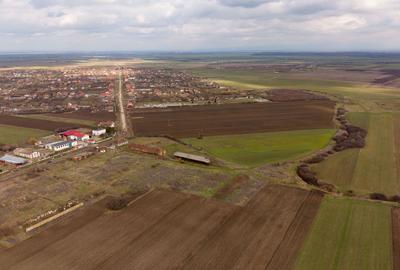 Fermă cu teren intravilan de 35000 mp în Mișca - 4