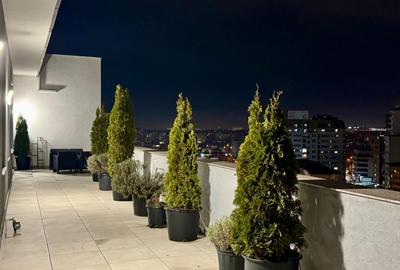 REA1022424 Penthouse Mihai Bravu - 9