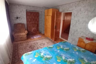 Vila 365 mp si teren aferent 5000 mp Batca Doamnei - 7