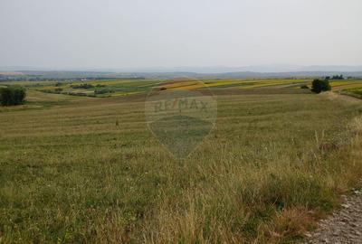 Teren parțial intravilan-300000mp Stroiești-Trei Movile, Suceava - 17