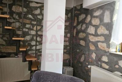 CASĂ DE VÂNZARE ÎN POUANA MĂRULUI,JUD. CARAȘ-SEVERIN - 4