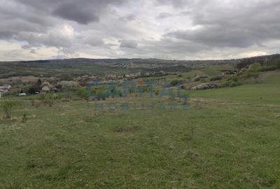 Comision 0! teren intravilan 5500mp, utilitati,  zona, strazii Veseliei Borhanci - 5