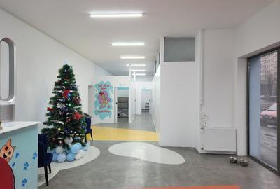 Stefan Cel Mare | Spatiu Comercial  | 189Mp | Bloc Consolidat - 3