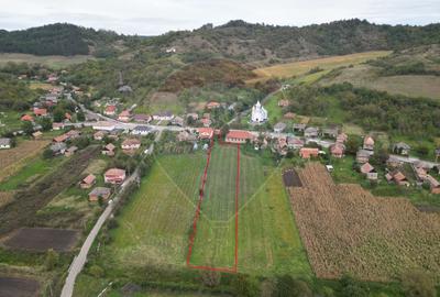 Teren 3200 mp I intravilan I Certificat Urbanism I Aschileu Mic - 7