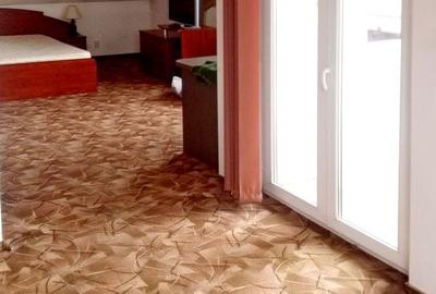 Vanzare Casa Harman - 15