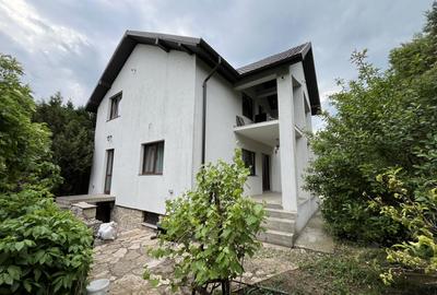 Exclusivitate! Vila D+P+M, 6 camere, partial mobilata, utilata, Valu lui Traian! - 2