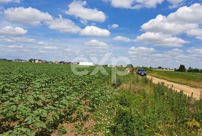 Teren intravilan de vanzare Tunari Ilfov - 1