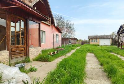 Casa de vanzare cu teren de 2175 mp,anexe si livada generoasa | Mailat - 24