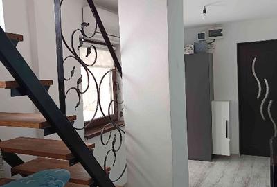 Teren parcelabil, intravilan, 6400mp cu casa renovata - ideal investitor - 11