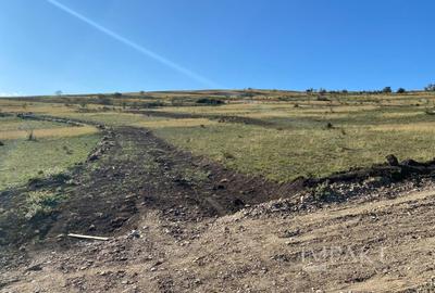 Parcele de teren în Câmpenești – oportunitate de investiție! - 1