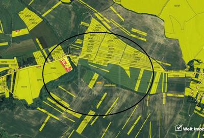 Teren extravilan in Rediu - Aiton, 4300 mp, la 150 m distanta de intravilan - 4