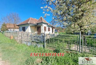 Casă individuală cu 2 camere în Lunca Mureșului