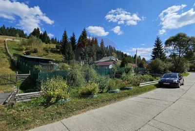 Casă / Vilă de vacanta in Dorna Arini, Suceava - 42