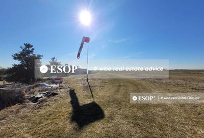 Teren de vanzare, Dascalu, ID 15402 - 4