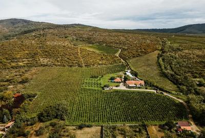 Proprietate specială, 1000 mp în Ghioroc