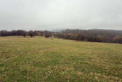 Teren spectaculos 3,5HA zona Cisnadioara - 3