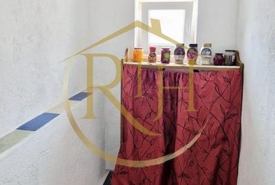 Vand casa recent renovata cu 900 mp curte si gradina in Carpinis - 10