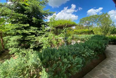 Balotesti, Ion Lahovari, mobilata si utilata complet - 26