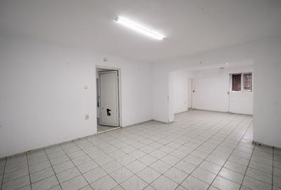 Demisol inalt 115 mp, 5 camere, 2 intrari  - Zona Parcul Carol / ideal investiti - 9