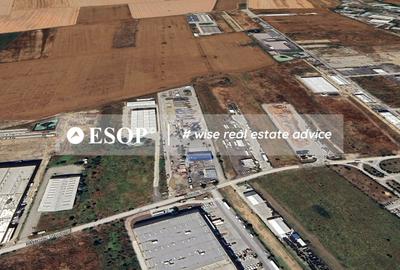 Vanzare Teren 10.000 mp – Rudeni, Chitila- ID 15475 - 1