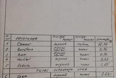 Garsonieră decomandată, mobilată în 1 Decembrie 1918