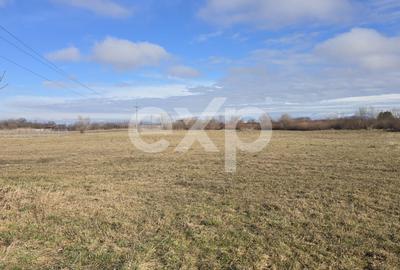 Teren Construcții extravilan de 3120 mp, în Turcheș