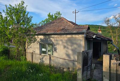 TEREN INTRAVILAN CU POTENȚIAL 2 CASE | SIC, CLUJ - 4