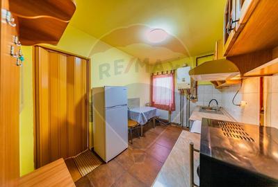 Apartament cu o camera in zona Parneava - 5