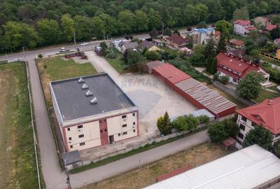 Cernica - oportunitate de investitie-vanzare spațiu industrial 6500mp - 7