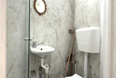 Apartament 1 camera, 20mp, parter - zona Elisabetin - 4