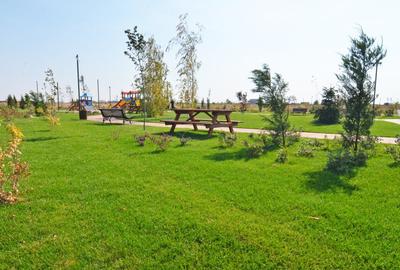 2 Camere, Adora Village, parcare, mobilat, Bragadiru - 13