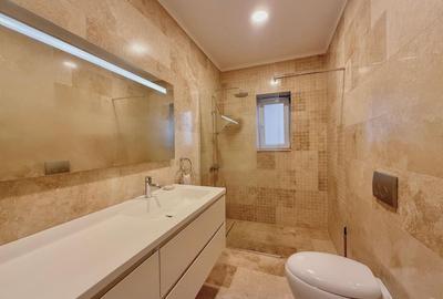 Duplex 5 camere de închiriat - Iancu Nicolae - 12