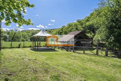 Oportunitate, Restaurant cu MiniPensiune 800mp, 1,8ha teren, Via Transilvanica - 55