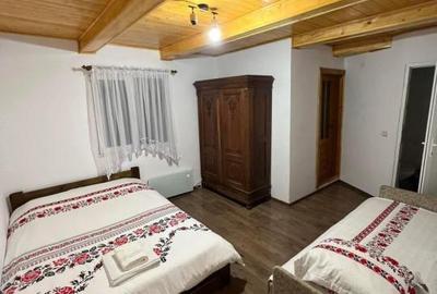 Cabana la Lac Colibita 8 camere, terase si 1650 mp teren - 11